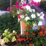 Besik Ξενοδοχείο