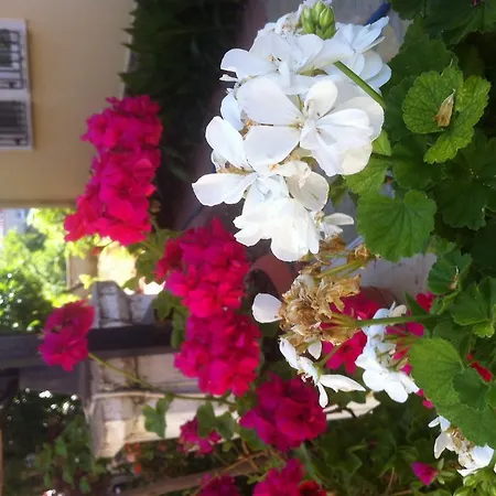 Besik Ξενοδοχείο Φετιγιέ