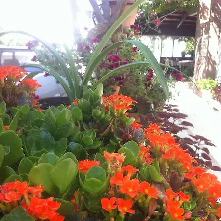 Ξενοδοχείο Besik Φετιγιέ