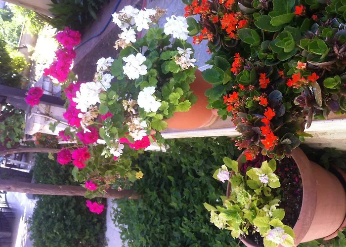 Besik 3* Fethiye
