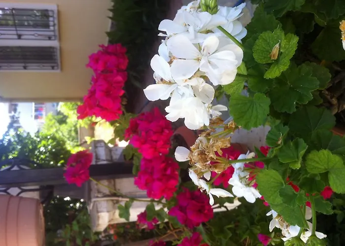 Besik Hotel Fethiye