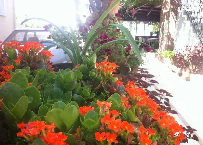 Hotel Besik Fethiye