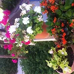 Besik 3* Fethiye