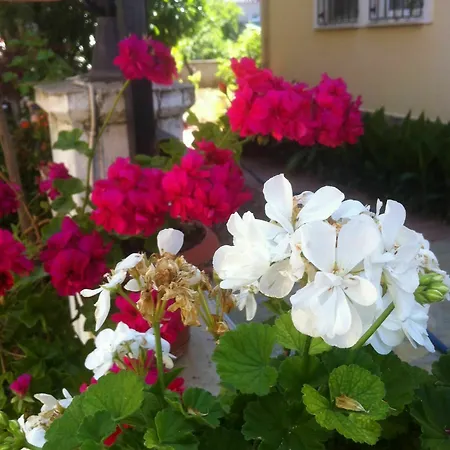 Besik Отель Фетхие